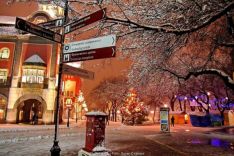 subotica_foto (4)